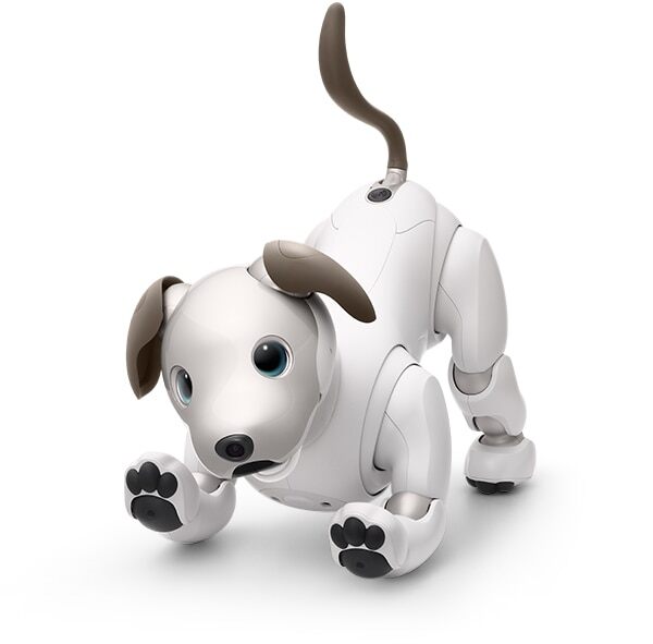 Aibo Dog